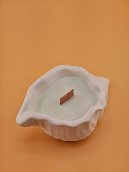 Mini Seashell Candles