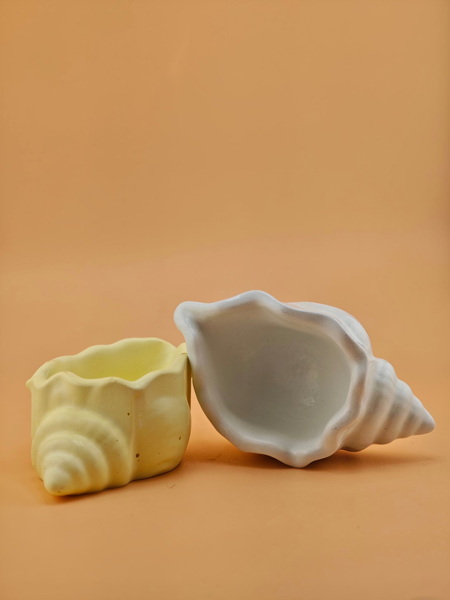 Mini Seashell Candles