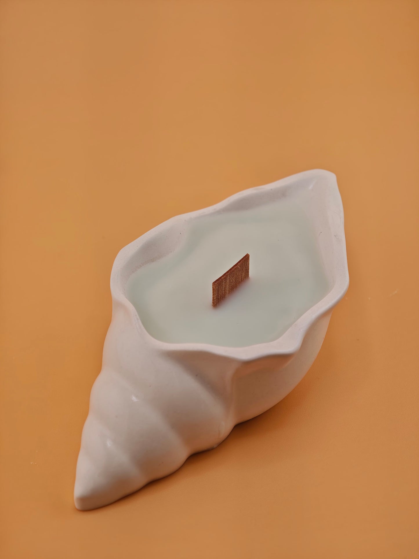 Mini Seashell Candles