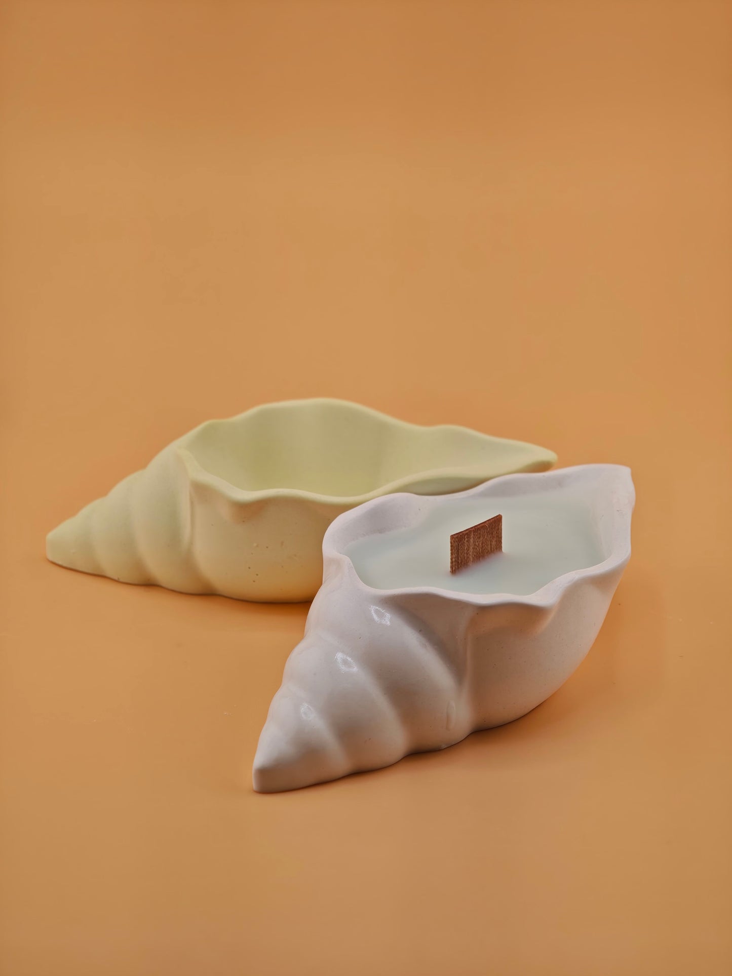 Mini Seashell Candles