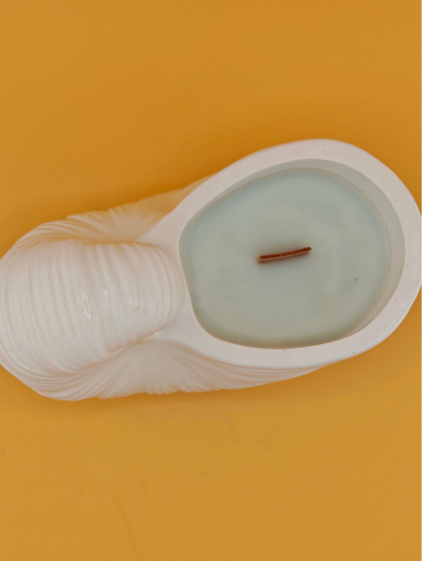 Nautilus Candle