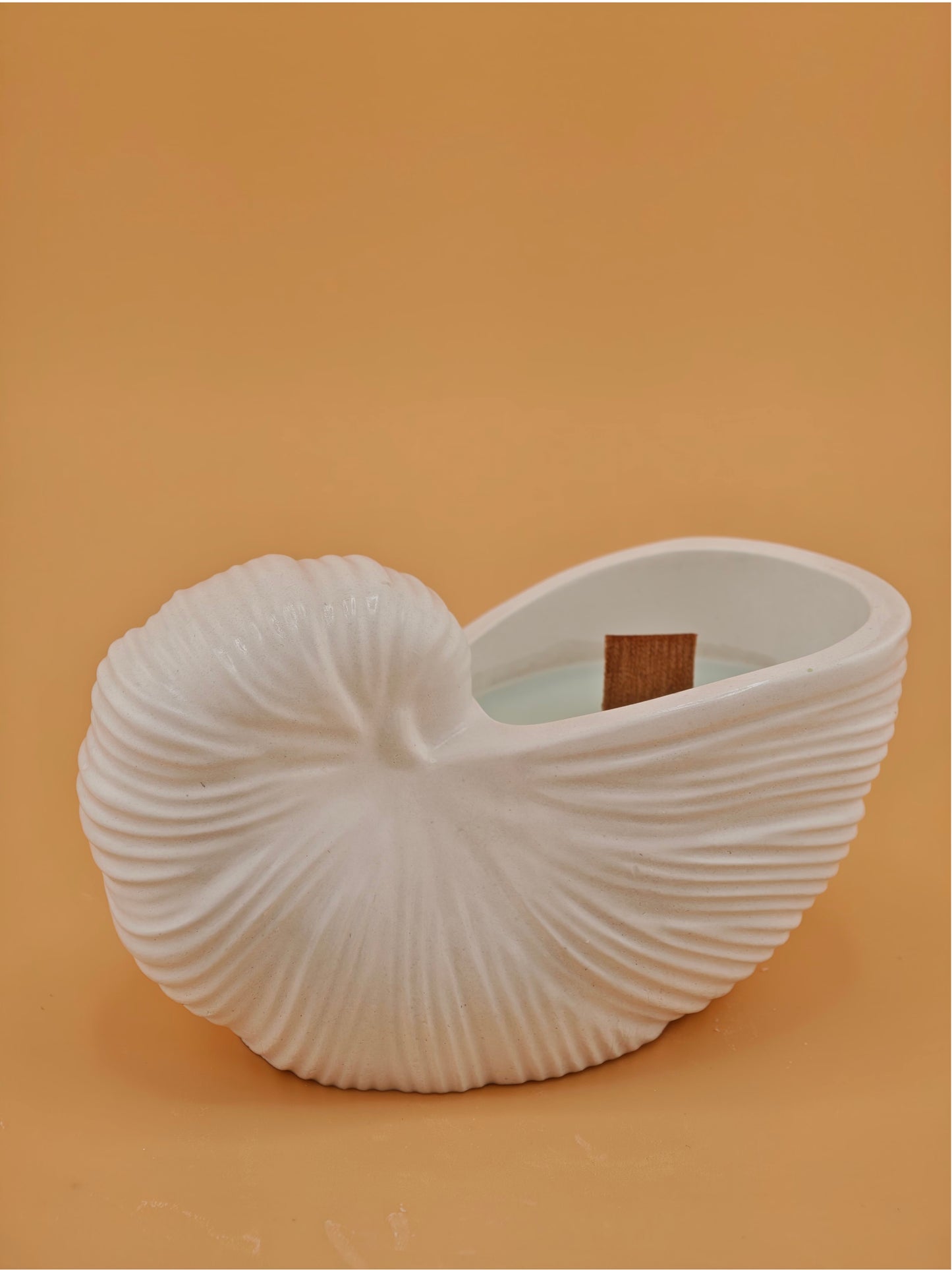 Nautilus Candle