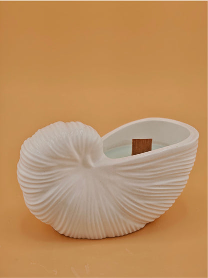 Nautilus Candle