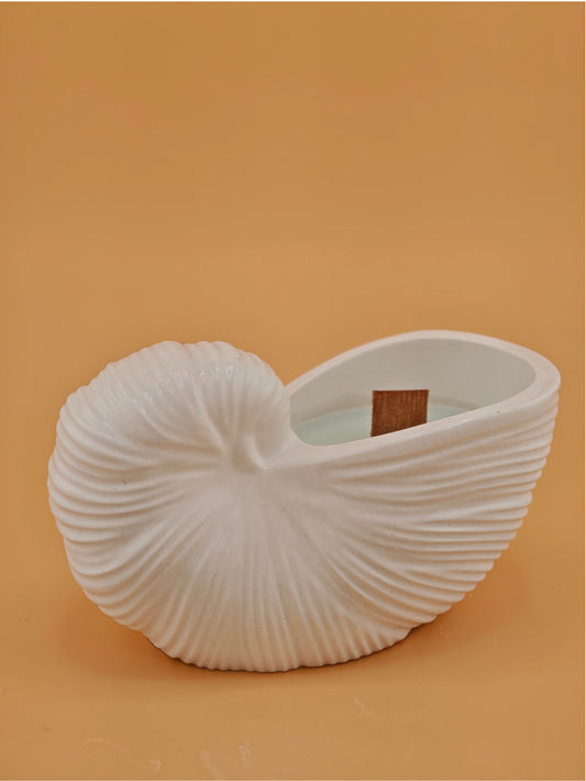Nautilus Candle